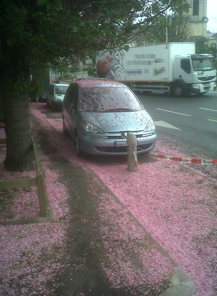 La vie en rose